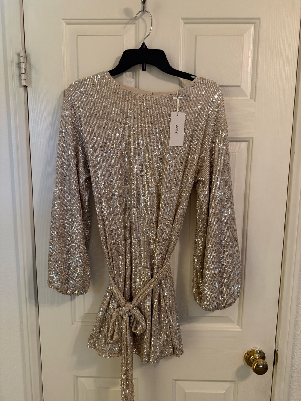 Sequin Tie-Waist Long Sleeve Dress in Champagne